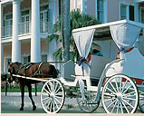 Contact Luxury Hotels of The Bahamas - this brand identifies the most luxurious hotel, resort and inn accommodations available in the Islands of The Bahamas.