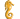 seashell