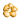seashell